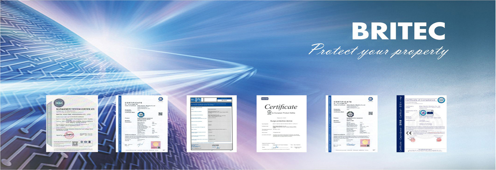 品質 サージの防御装置 工場